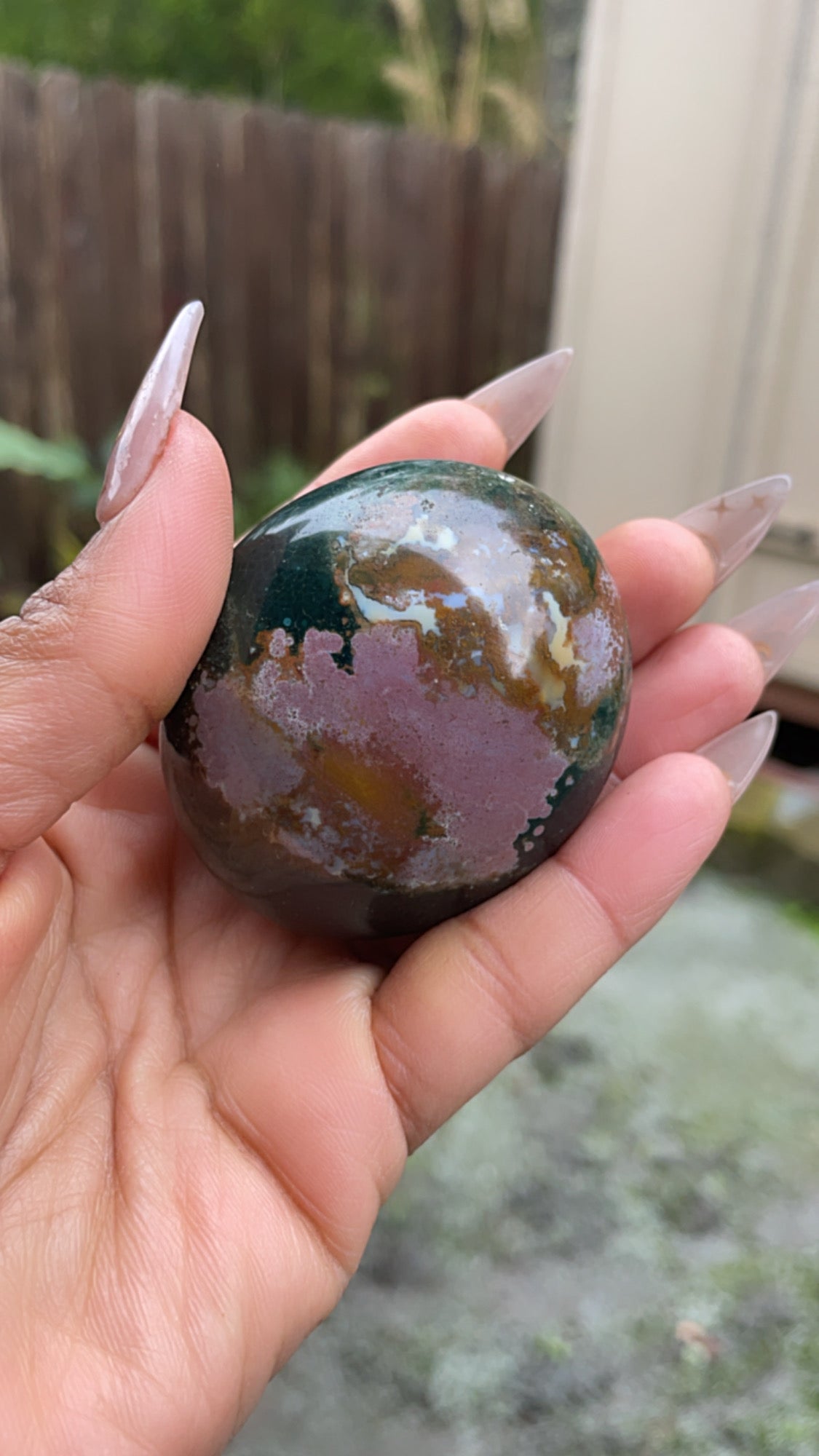 Ocean Jasper Palmstone