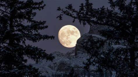 Full Cold Moon in Gemini: Last Full Moon of the Year