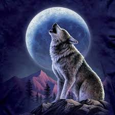 Full Wolf Moon: First Full Moon of the Year 2023