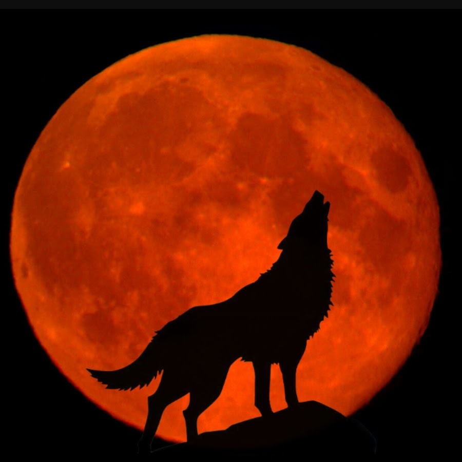 First Full Moon of the Year: Wolf Moon in Cancer