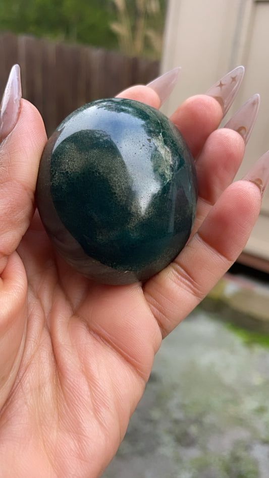 Ocean Jasper Palmstone